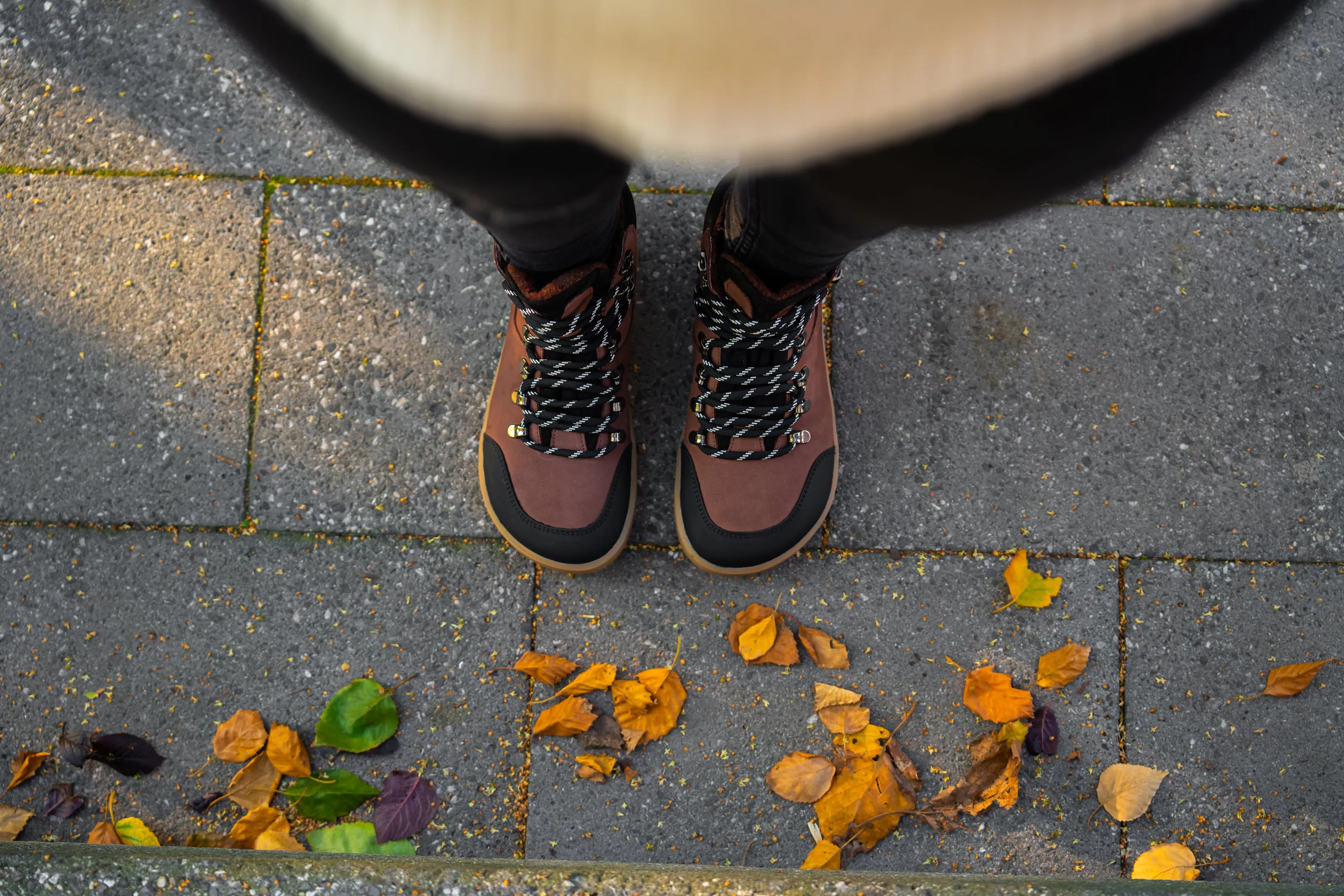 Barefoot Shoes Be Lenka Ranger 2.0 - Dark Brown (SALE)