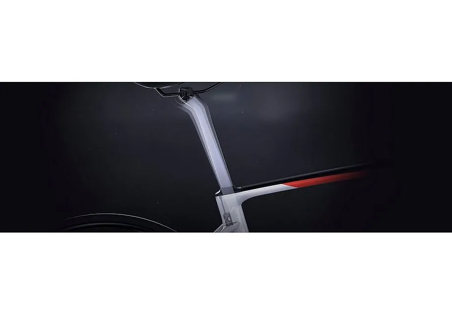 Specialized Roubaix S-Works Team Frameset